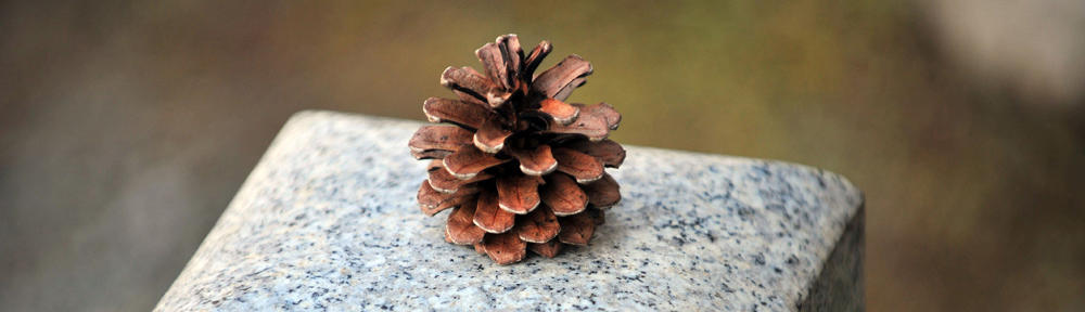 Natural Psoriasis Treatment