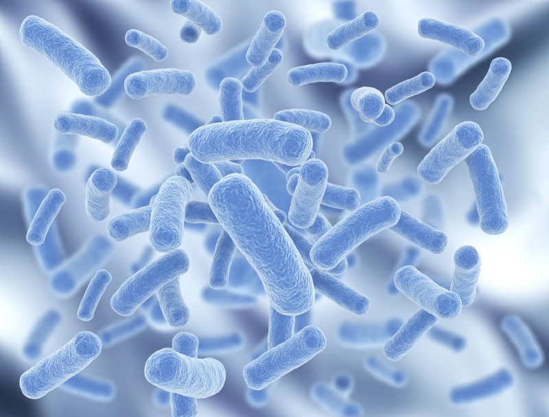 Probiotics for psoriasis | The pure psoriasis remedy program Probiotics for psoriasis | The pure psoriasis remedy program